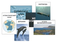 Модель-аппликация "Океаны. Знакомство" (ламинированная) - fgospostavki.ru - Выкса