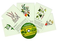 Интерактивный наглядный комплекс "Гербарий "Для начальной школы" - fgospostavki.ru - Выкса