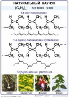 Комплект демонстрационных таблиц по химии "Полимеры" (комплект 12 таблиц) - fgospostavki.ru - Выкса