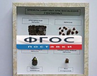Коллекция энтомологическая "Примеры защитных приспособлений у насекомых" - fgospostavki.ru - Выкса