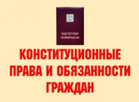 Комплект плакатов "Конституционные права и обязанности граждан" - fgospostavki.ru - Выкса