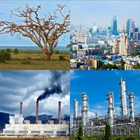 Модель-аппликация Биосфера и человек - fgospostavki.ru - Выкса