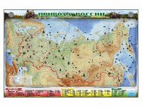 Электронно-информационный (маркерный) стенд "Природа России" - fgospostavki.ru - Выкса