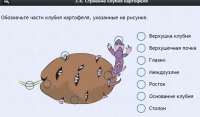 Интерактивные курсы. Биология 6 класс. Расширенный - fgospostavki.ru - Выкса
