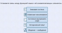 Интерактивные курсы. Русский язык 7 класс . Базовый. - fgospostavki.ru - Выкса