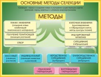Стенд "Методы селекции и биотехнологии" - fgospostavki.ru - Выкса