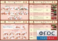 Стенд "Вязание крючком" - fgospostavki.ru - Выкса