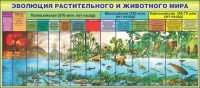 Стенд "Эволюция растительного и животного мира" - fgospostavki.ru - Выкса