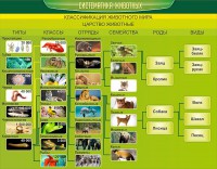 Стенд "Систематика животных" - fgospostavki.ru - Выкса