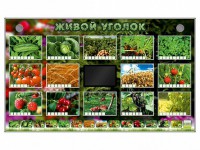 Комплект оборудования "Живой уголок" (растения) - fgospostavki.ru - Выкса