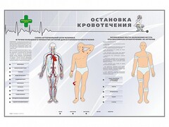 Электрифицированный стенд "Остановка кровотечения" - fgospostavki.ru - Выкса