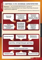 Комплект таблиц. ОБЖ. Здоровый образ жизни. - fgospostavki.ru - Выкса