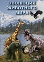 DVD "Эволюция животного мира" - fgospostavki.ru - Выкса