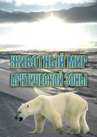 DVD "Животный мир Арктической зоны" - fgospostavki.ru - Выкса