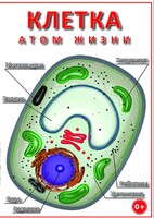 DVD "Клетка - "атом жизни" - fgospostavki.ru - Выкса
