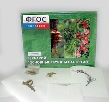 Гербарий "Основные группы растений" (52 листа) - fgospostavki.ru - Выкса