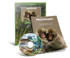 Электронное наглядное пособие «Эволюция» - fgospostavki.ru - Выкса