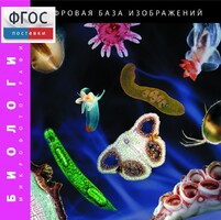 Биология. Микрофотографии. (Цифровая база изображений) - fgospostavki.ru - Выкса