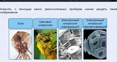 Интерактивные курсы. Биология 5 класс. Расширенный - fgospostavki.ru - Выкса