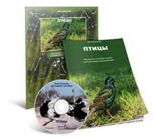 Электронное наглядное пособие «Птицы» - fgospostavki.ru - Выкса