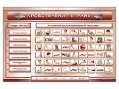 Трехсекционный базовый комплект "Травмы. Кровотечения. Ожоги" для учащихся общеобразовательных учреждений - fgospostavki.ru - Выкса