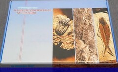 Коллекция "Палеонтологическая" (16 образцов) - fgospostavki.ru - Выкса