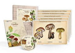 Комбинированное наглядное пособие  «Грибы» - fgospostavki.ru - Выкса
