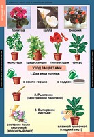 Комплект таблиц. Окружающий мир 1 класс. - fgospostavki.ru - Выкса