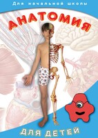 DVD "Анатомия для детей" - fgospostavki.ru - Выкса