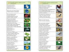 Комплект карточек (10) "Обучающий калейдоскоп. Природа" - fgospostavki.ru - Выкса