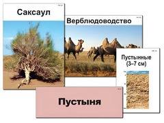 Модель-аппликация "Природные зоны России" (ламинированная) - fgospostavki.ru - Выкса
