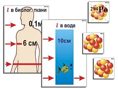 Модель-аппликация "Явление радиоактивности" (ламинированная) - fgospostavki.ru - Выкса