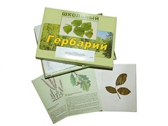 Гербарий "Дикорастущие растения" (30 видов, с иллюстрациями) - fgospostavki.ru - Выкса