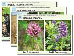Гербарий фотографический "Сельскохозяйственные растения России" - fgospostavki.ru - Выкса