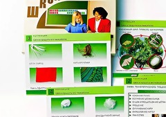 Коллекция "Шелк и продукты его переработки" (средняя школа) - fgospostavki.ru - Выкса