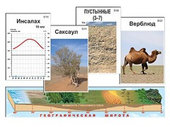 Модель-аппликация "Природные зоны" - fgospostavki.ru - Выкса