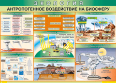 Таблица "Антропогенное воздействие на биосферу" (100х140 сантиметров, винил) - fgospostavki.ru - Выкса