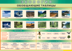 Таблица "Экология. Обобщающие таблицы" (100х140 сантиметров, винил) - fgospostavki.ru - Выкса
