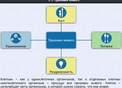 Интерактивные курсы. Биология 5 класс. Базовый - fgospostavki.ru - Выкса