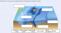 Интерактивные курсы. География 7 класс . Базовый. - fgospostavki.ru - Выкса