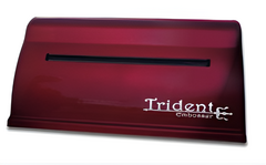Принтер для печати рельефно-точечным шрифтом Брайля Trident - fgospostavki.ru - Выкса