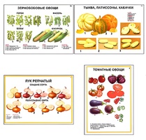 Плакаты ПРОФТЕХ "Ассортимент овощных культур" (12 пл, винил, 70х100) - fgospostavki.ru - Выкса