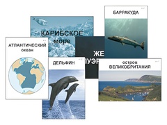 Модель-аппликация "Океаны. Знакомство" (ламинированная) - fgospostavki.ru - Выкса