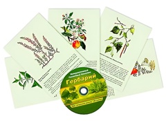 Интерактивный наглядный комплекс "Гербарий "Для начальной школы" - fgospostavki.ru - Выкса