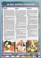 Стенд "Белки. Жиры. Углеводы" - fgospostavki.ru - Выкса