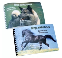 Пособие для слабовидящих - Домашние животные - fgospostavki.ru - Выкса