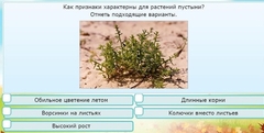 Интерактивные курсы. Окружающий мир 3 класс . Базовый. - fgospostavki.ru - Выкса