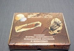 Коллекция "Формы сохранности ископаемых растений и животных" - fgospostavki.ru - Выкса
