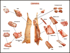 Таблица "Правила разделки мясных туш. Свинина" (100х140 сантиметров. винил) - fgospostavki.ru - Выкса