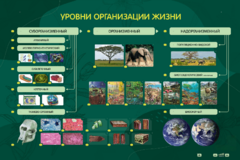 Электрифицированный стенд "Уровни организации жизни" - fgospostavki.ru - Выкса